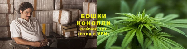 стаф Майский