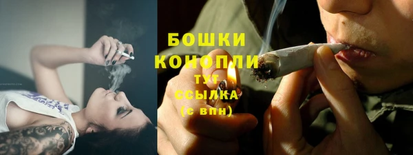 стаф Майский