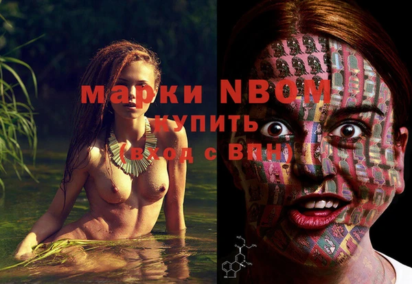 стаф Майский