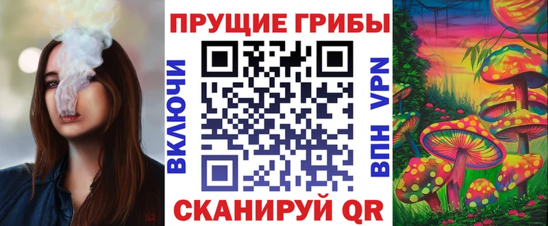 OMG рабочий сайт  Инза  это официальный сайт  Псилоцибиновые грибы GOLDEN TEACHER 
